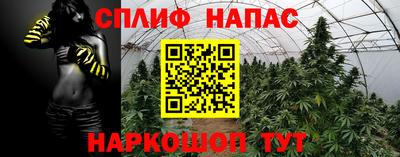 дмт Будённовск