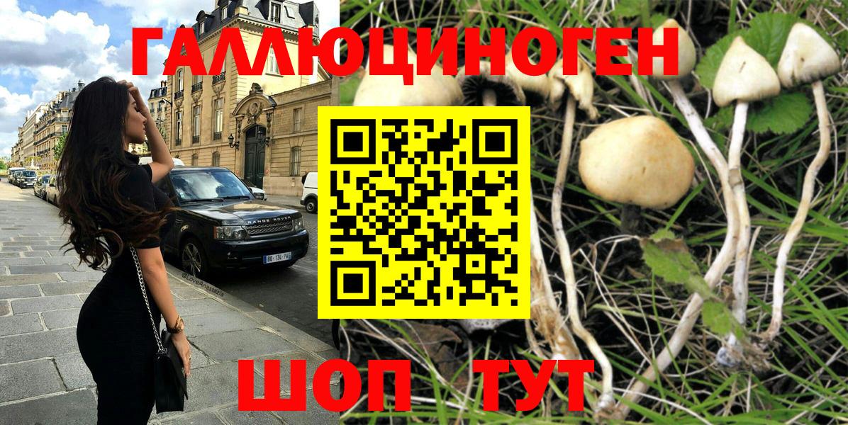Саяногорск  Псилоцибиновые грибы ЛСД  Вход с VPN 